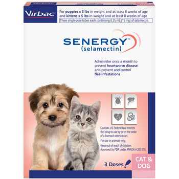 Senergy